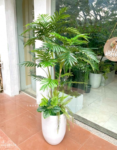 CHẬU CÂY DỪA PHỐI TIỂU CẢNH TRANG TRÍ LAN DECOR (140CM) - LC2956 MIX