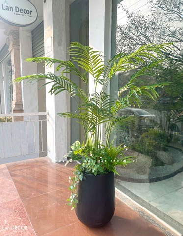 Cây giả decor - Cây dừa cảnh trang trí không gian xanh mát (150cm)- LC3038