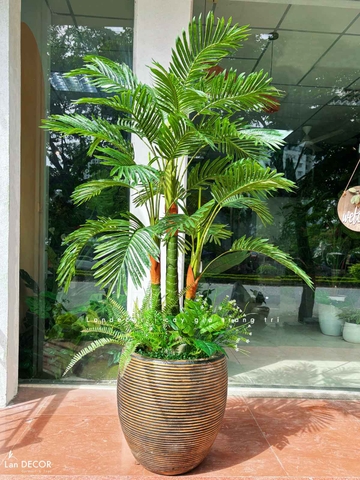 CHẬU CÂY DỪA TIỂU CẢNH PHONG CÁCH NHIỆT ĐỚI LAN DECOR - LC3062 MIX