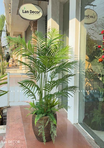 Cây giả decor - Cây dừa cảnh trang trí không gian xanh mát (150cm)- LC3038