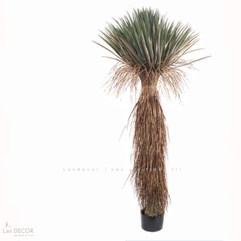 Cây Giả Decor - Cây Yucca Giả Decor Phong Cách Nhiệt Đới (180cm)- LC3854