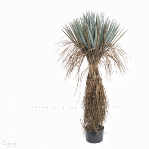 Cây Giả - Cây Yucca Lá Rủ Giả Trang Trí Nội Thất Hiện Đại, Độc Đáo (130cm)- LC3853