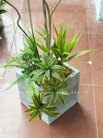 Cây Giả Trang Trí- Cây Thiết Mộc Lan Giả Decor Không Gian Độc Đáo (160cm)- LC3737-1-XANH