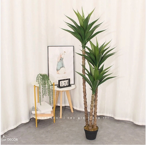 Cây Giả Tiểu Cảnh- Cây Yucca Giả Trang Trí Tiểu Cảnh Xương Rồng Độc Đáo (120cm)- LC3541