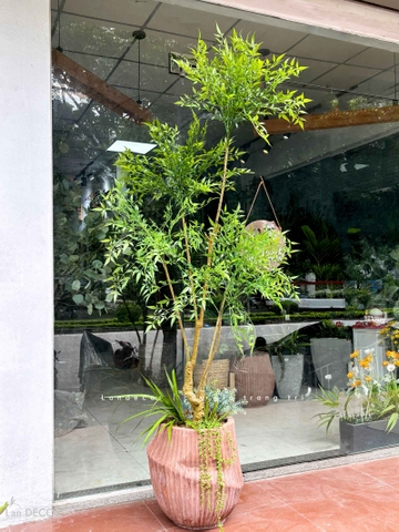 Cây Giả Decor- Cây Nam Thiên Trúc Giả 5 Nhánh Thiết Kế Căn Hộ Độc Đáo (190cm)- LC3042-5