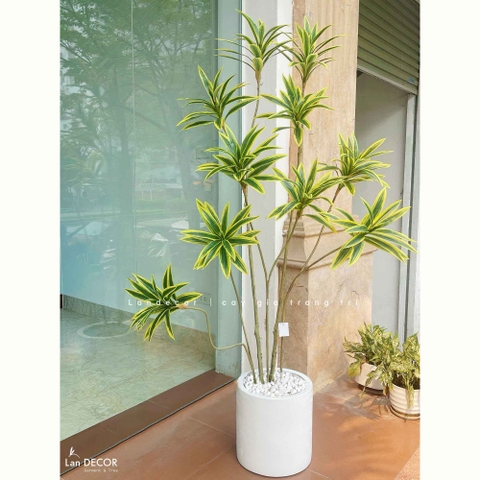 Cây Giả - Cây Thiết Mộc Lan Giả Decor Nội Thất Căn Hộ (160cm)- LC3737-VÀNG MIX