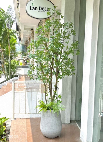 Cây Lá Giả- Cây Asebi Giả Trang Trí Văn Phòng (190cm)- CC1058