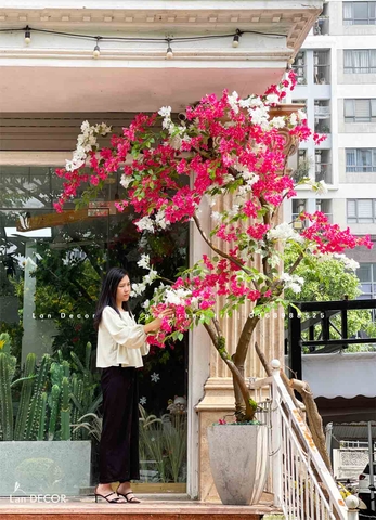 CÂY HOA GIẤY TRƯNG BÀY CỬA HÀNG HÚT MẮT (2m8)- CC881