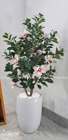 Cây Hoa Mộc Lan Thiết Kế Không Gian Ấn Tượng (140cm)- CC990