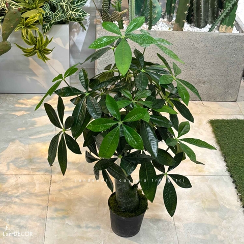 Cây Kim Ngân trang trí không gian hiện đại (85cm) - LC1989
