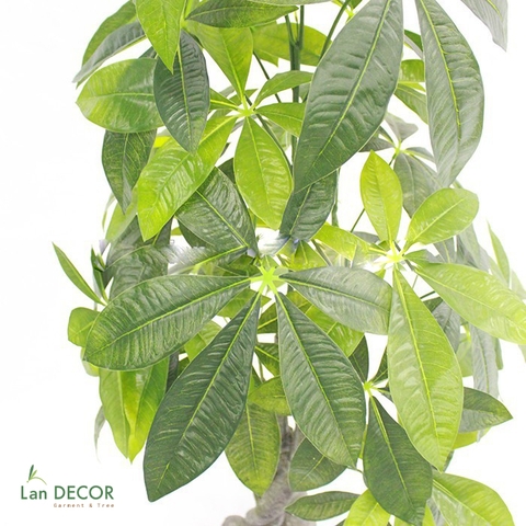 Cây Kim Ngân cây trang trí nhà sang trọng LanDecor (120cm) - LC2348