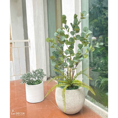 Cây Giả- Cây Kim Tiền Giả Decor Nội Thất (115cm)- CC1138