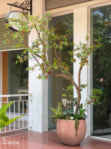 Cây Giả Thiết Kế - Cây Lá Đỏ Giả Dáng Huyền Thiết Kế Không Gian Ấn Tượng (220cm)- CC1384
