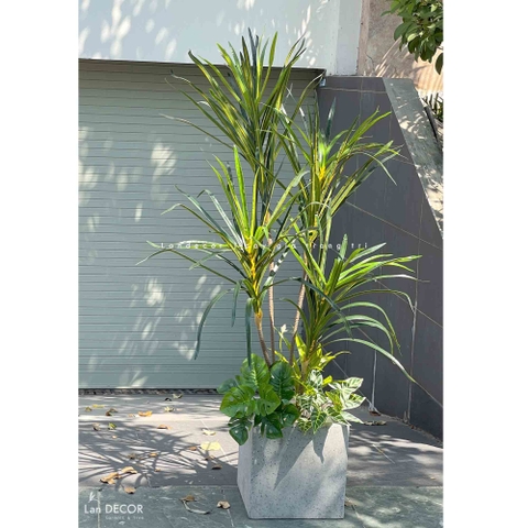 CHẬU CÂY LÁ KIM MIX TIỂU CẢNH DECOR NỘI THẤT- LC2902-3mix1