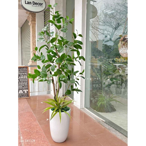 Cây Giả Thiết Kế- Cây Lá Mộc Trang Trí Cảnh Quan (155cm)- CC1046
