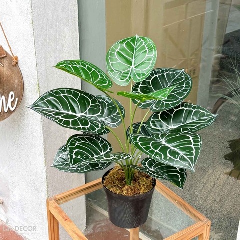 Cây Giả Decor- Cây Lá Môn Giả Decor Tiểu Cảnh Độc Đáo (45cm) - LC2026-10