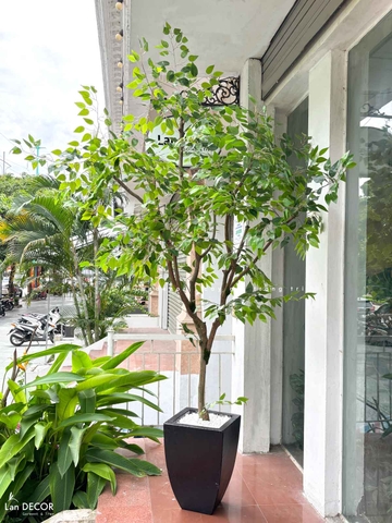 Cây Giả Trưng Bày- Cây Lá Xanh Thiết Kế Tiểu Cảnh Giếng Trời (260cm) - CC1105
