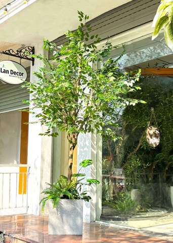 Cây Giả Trưng Bày- Cây Lá Xanh Thiết Kế Tiểu Cảnh Giếng Trời (260cm) - CC1105