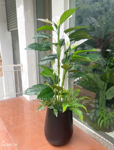 Cây Giả Decor- Cây Lan Ý Giả Trang Trí Tiểu Cảnh Văn Phòng (165cm)- CC1137