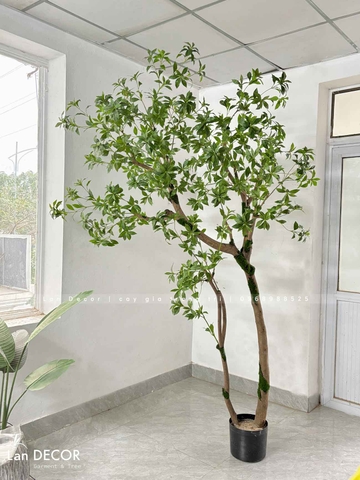 Cây Giả Thiết Kế- Cây Linh Sơn Thiết Kế Tiểu Cảnh Ấn Tượng - CC1005