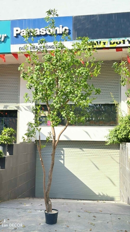 Mẫu Cây Giả Tiểu Cảnh- CT Cây Linh Sơn 3.5m Mix Tiểu Cảnh Thiết Kế Căn Hộ Hiện Đại, Sang Trọng- CC1228