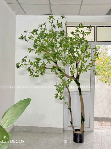 Cây Giả Thiết Kế- Cây Linh Sơn Thiết Kế Tiểu Cảnh Ấn Tượng - CC1005