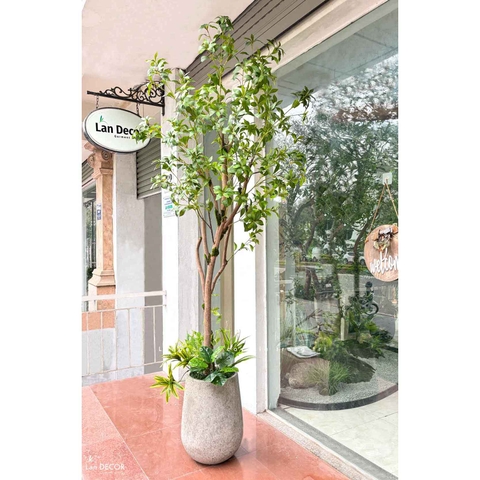 Cây Giả Trưng Bày- Cây Linh Sơn Giả Trang Trí Nội Thất, Thiết Kế Cảnh Quan Xanh (230cm)- CC1253