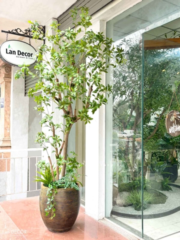 Cây Size Lớn Thiết Kế- Cây Linh Sơn Giả Thiết Kế Tiểu Cảnh Cửa Hiệu, Quán Cafe Tạo Không Gian Xanh (240cm)- CC1252