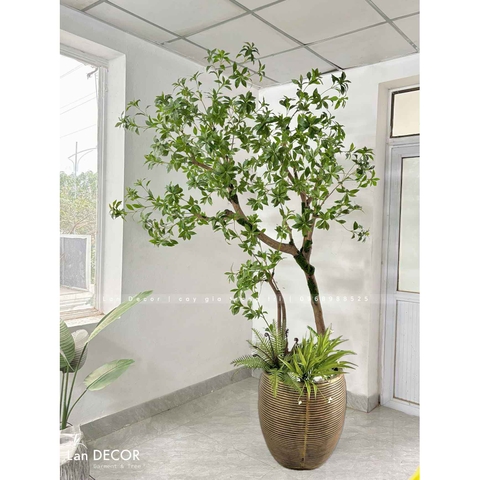Cây Giả Thiết Kế- Cây Linh Sơn Thiết Kế Tiểu Cảnh Ấn Tượng - CC1005