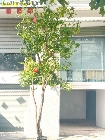 Mẫu Cây Giả Tiểu Cảnh- CT Cây Linh Sơn 3.5m Mix Tiểu Cảnh Thiết Kế Căn Hộ Hiện Đại, Sang Trọng- CC1228