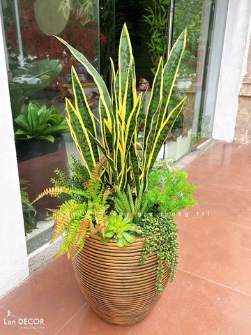 Cây Giả Decor- Chậu Cây Lưỡi Hổ Giả Decor Nhà Cửa, Nội Thất Phòng Khách (110cm)- CC1187