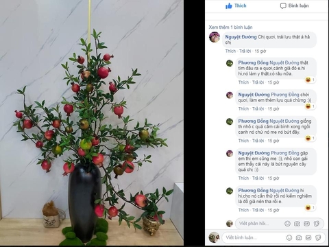 bình lựu giả