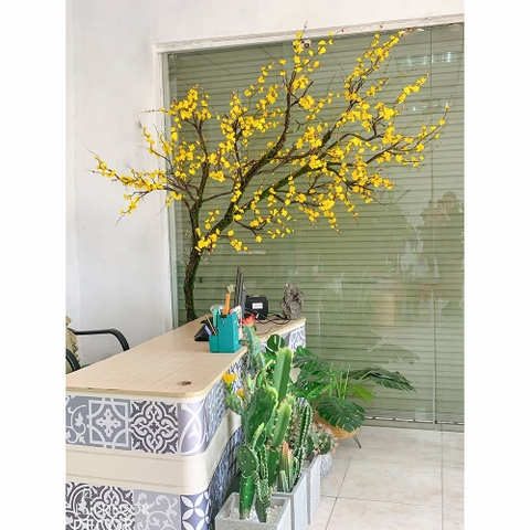 CÂY MAI VÀNG MÙA XUÂN ĐẸP ĐỘC ĐÁO LAN DECOR (2,5M) - CC385-1