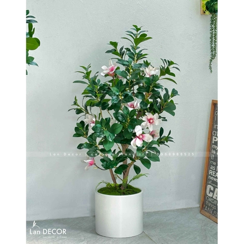 Cây Hoa Mộc Lan Thiết Kế Không Gian Ấn Tượng (140cm)- CC990