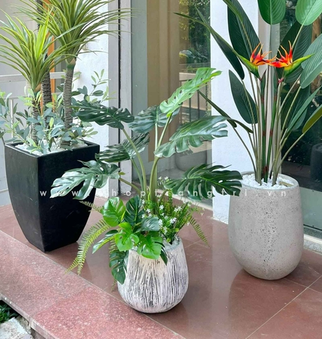 Chậu cây Monstera trang trí tiểu cảnh nhà Landecor (85cm) - LC3057 Mix