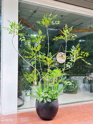 Cây Giả Decor- Cây Nam Thiên Trúc Giả Thiết Kế Sảnh Văn Phòng, Điểm Nhấn Không Gian Xanh (200cm)- LC3047 Mix