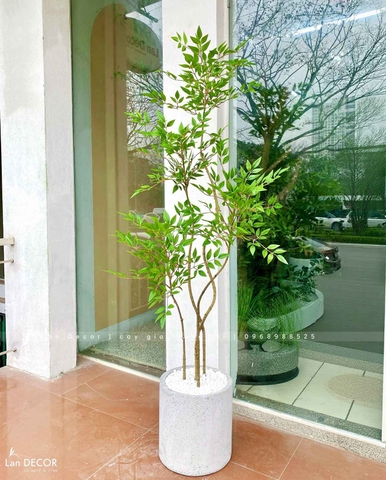 Nam Thiên Trúc Decor- Cây Nam Thiên Trúc Giả Trang Trí Nhà Đẹp (150cm)- LC3047-4 thân