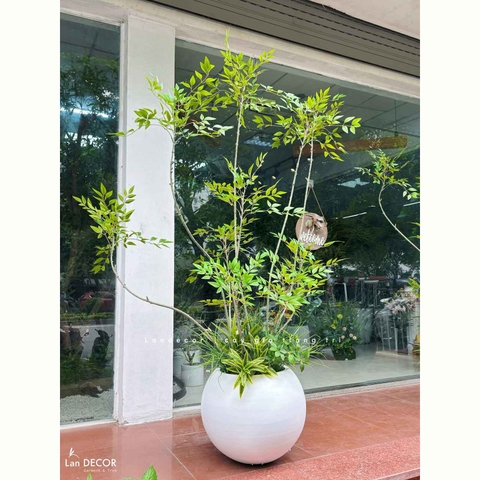 Cây Giả Decor- Cây Nam Thiên Trúc Giả Thiết Kế Sảnh Văn Phòng, Điểm Nhấn Không Gian Xanh (200cm)- LC3047 Mix