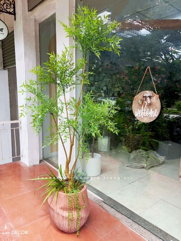 Cây Giả Decor- Cây Nam Thiên Trúc Giả 5 Nhánh Thiết Kế Căn Hộ Độc Đáo (190cm)- LC3042-5