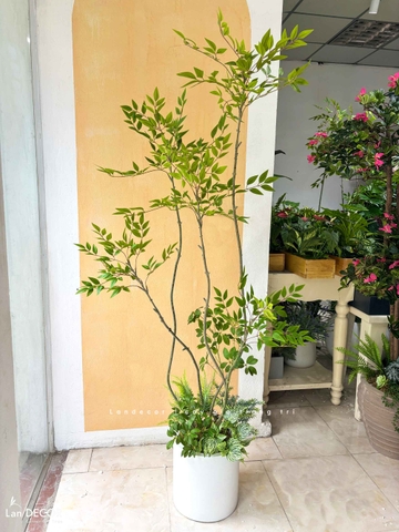 Nam Thiên Trúc Giả- Cây Nam Thiên Trúc Giả Decor Căn Hộ Hiện Đại (190cm)- LC3047-5