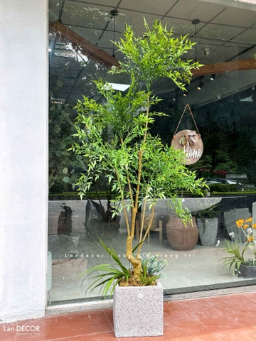 Cây Giả Decor- Cây Nam Thiên Trúc Giả 5 Nhánh Thiết Kế Căn Hộ Độc Đáo (190cm)- LC3042-5