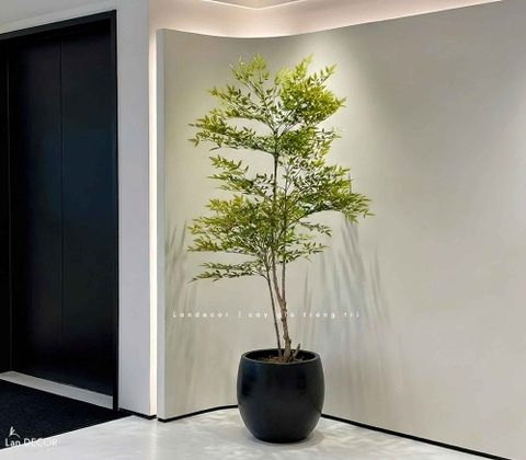 Cây Giả Decor- Cây Nam Thiên Trúc Giả Trang Trí Tiểu Cảnh Tự Nhiên (160cm)- LC3042