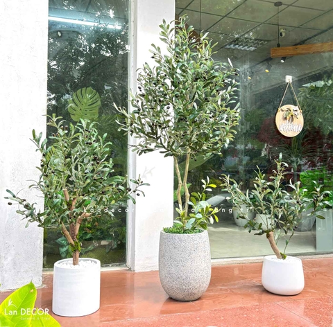 Olive Giả Decor- Cây Olive Giả Trang Trí Nội Thất (95cm)- CC1207