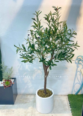Cây Giả- Cây Olive Giả Thiết Kế Lan Decor (130cm)- CC1286