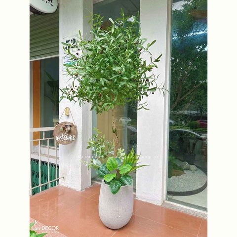 Cây Giả Decor- Cây Olive Giả Đẹp Tự Nhiên, Trang Trí Không Gian Xanh (165cm)- CC1291