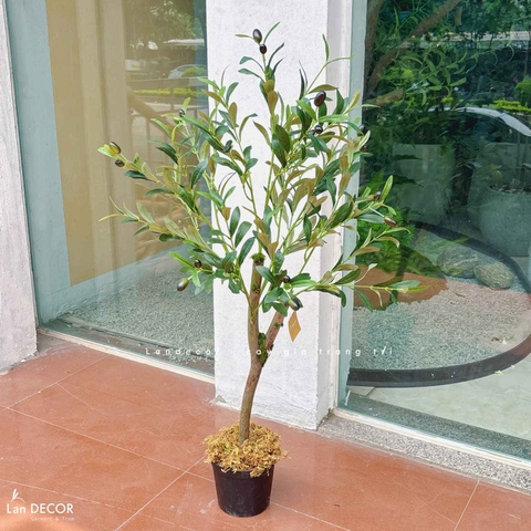 Cây Giả Trang Trí- Cây Olive Giả Trang Trí Nội Thất (90cm)- CC1305