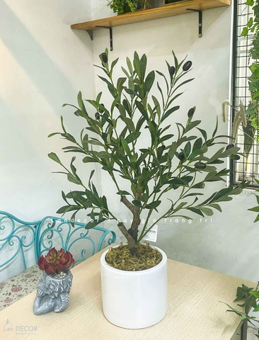 Cây Giả- Cây Olive Giả Để Bàn Trang Trí Văn Phòng Xanh (70cm)- CC1304