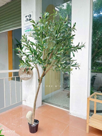 Cây Giả- Cây Olive Dáng Huyền Độc Đáo, Thiết Kế Tự Nhiên (140cm)- CC1293