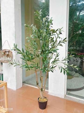 Cây Giả- Cây Olive Giả Decor Văn Phòng, Thiết Kế Tiểu Cảnh Hiện Đại (140cm)- CC1292