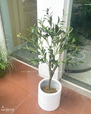 Cây Giả Trang Trí- Cây Olive Giả Trang Trí Nội Thất (90cm)- CC1305